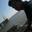 Tiny_577613_430482913712014_1593437973_n