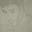 Tiny_893721_1392144894404252_4812201481337136974_o
