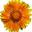 Tiny_avatar10