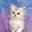Tiny_cat_02