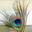 Tiny_image